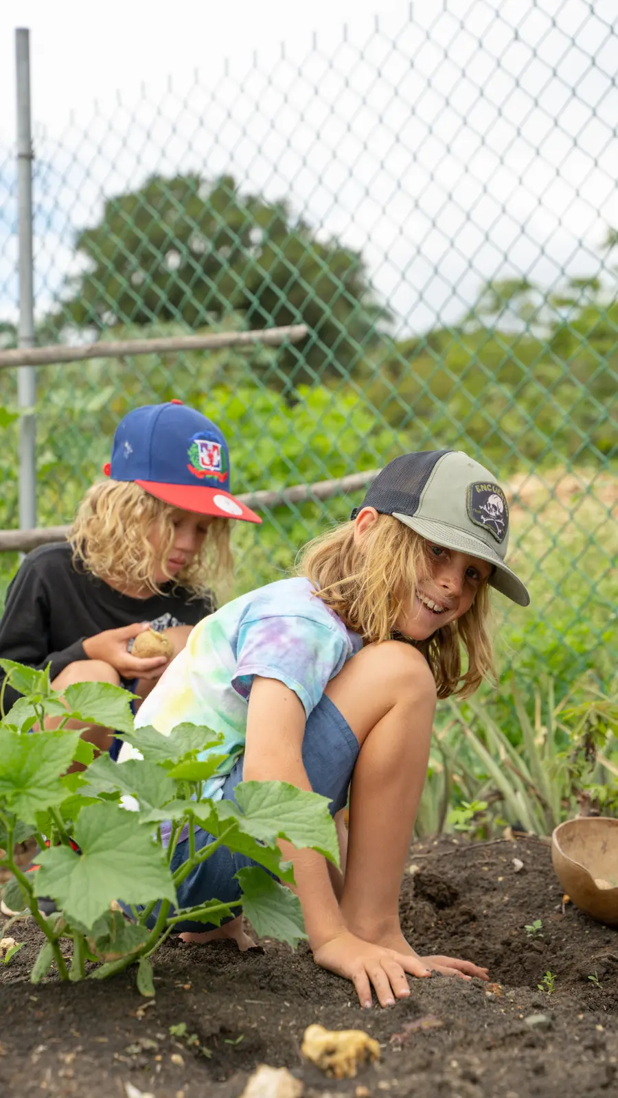 Students tending the school garden