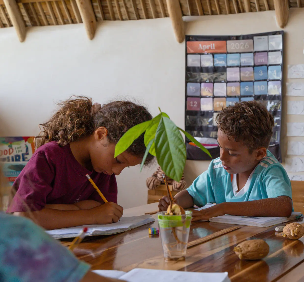 Two students learning together in a classroom